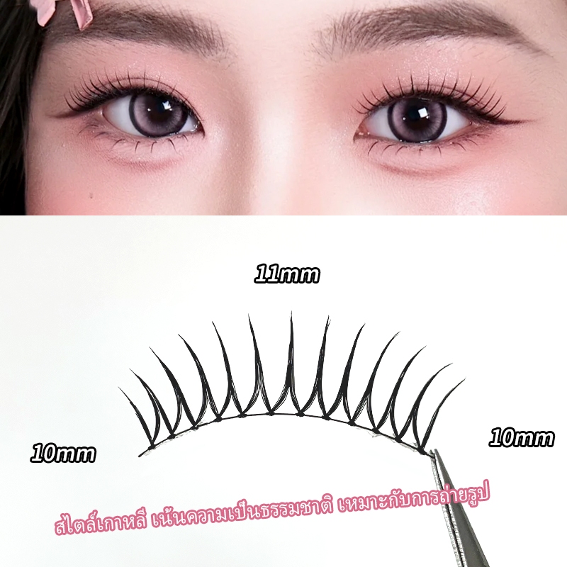 รูปภาพ 3