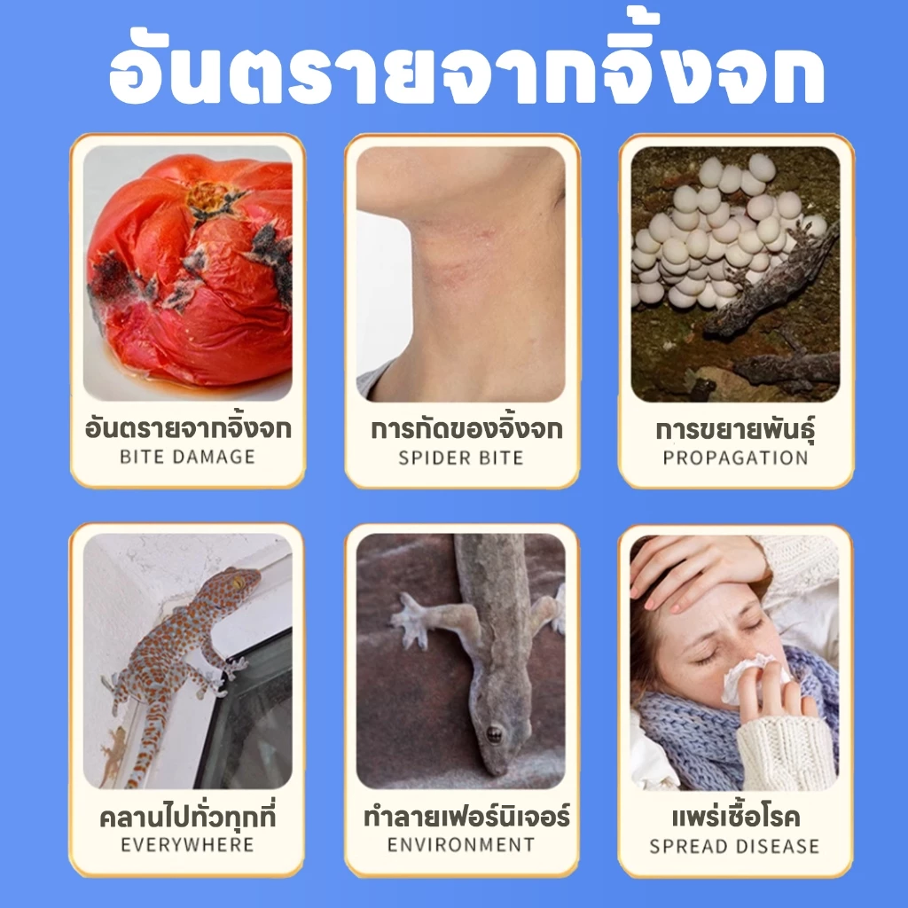 หมดปัญหาจิ้งจกในบ้าน VV ไล่จิ้งจก ยาฆ่าจิ้งจก ยาไล่ 16 ชิ้น/กล่อง ชุดสุดคุ้ม ทำให้บ้านไม่มีอีกต่อไป ของใช้จำเป็นในบ้าน thumbnail 3