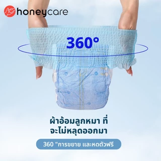 ฮันนี่แคร์ หญิงใช้สัตว์เลี้ยงผ้าอ้อมสุนัขผ้าอ้อมแมวผ้าอ้อมสัตว์เลี้ยงกางเกงและ ต่ํากว่า สัตว์เลี้ยงผ้าอ้อมกางเกงสัตว์เลี้ยง 10 ชิ้น