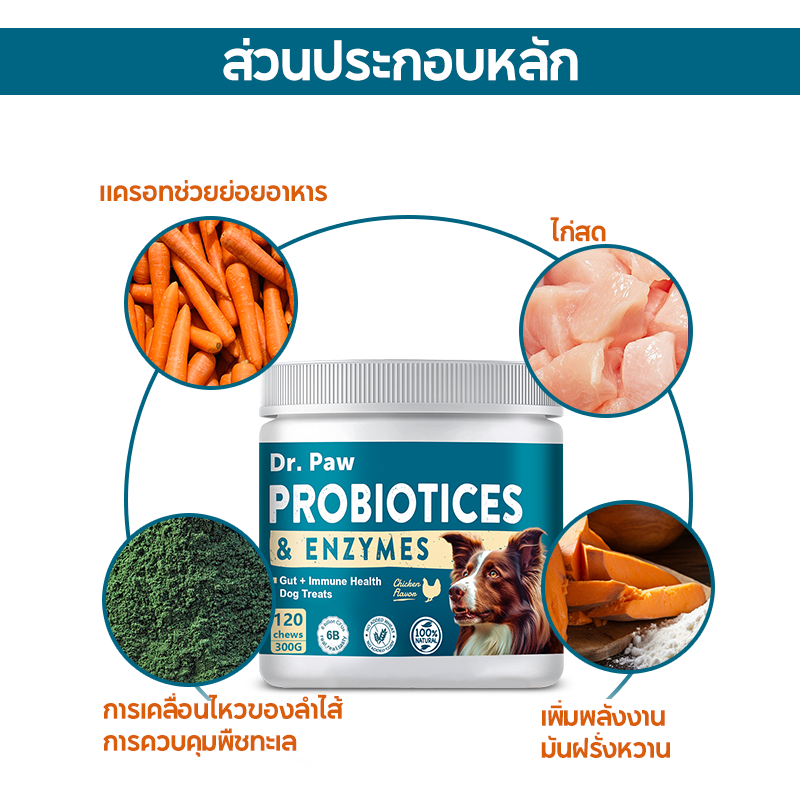 จัดส่ง2วัน โปรไบโอติกส์สำหรับสุนัขเลี้ยง หมดยา 120 เม็ด ทั้งหมดสามรสชาติ ช่วยระบบย่อยอาหาร สร้างภูมิคุ้มกัน และดูแลขนสุนัข