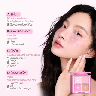 FelinWel บลัชออน 4สี เม็ดสีแน่นชัด วีแกน ไม่ทดลองในสัตว์ | Blush Palette 4 Shades High Pigment Cruelty-Free