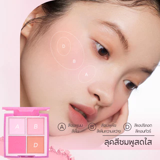 FelinWel บลัชออน 4สี เม็ดสีแน่นชัด วีแกน ไม่ทดลองในสัตว์ | Blush Palette 4 Shades High Pigment Cruelty-Free