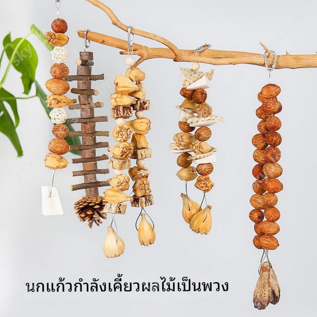 ของเล่นขัดฟันนกแก้ว  กระดองปลาหมึกเสริมแคลเซียม เปลือกข้าวโพด นัทเม็ก ผลมะฮอกกานีแห้ง สำหรับนกแก้ว