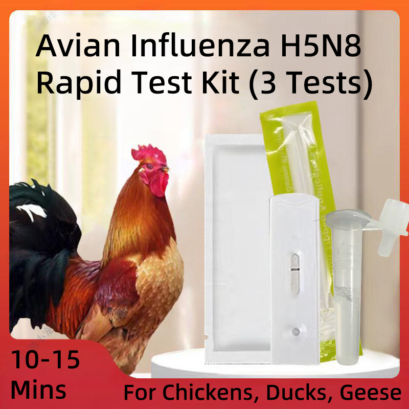 ชุดตรวจ H5N8 นก ไก่ เป็ด ห่าน 3 ครั้ง | H5N8 Avian Flu Rapid Test 3T