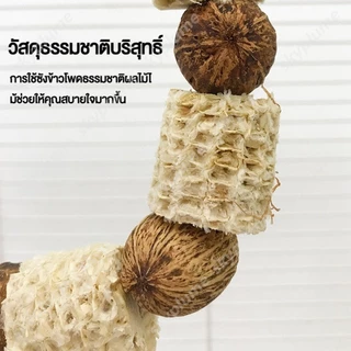 Bird Rope Perch, ของเล่น Cockatiel สัตว์เลี้ยงเกลียวธรรมชาติ, นกแกว่งเคี้ยวคอนสําหรับ Parakeets, Conures, Budgies, Macaws