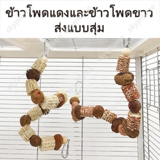 Bird Rope Perch, ของเล่น Cockatiel สัตว์เลี้ยงเกลียวธรรมชาติ, นกแกว่งเคี้ยวคอนสําหรับ Parakeets, Conures, Budgies, Macaws