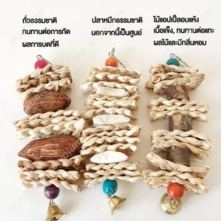 ชุดของเล่นนกแก้ว 5 แบบ สายกัดแทะข้าวโพด+ลูกจันทน์เทศ+ไม้แอปเปิ้ล+กระดองปลาหมึก ขนาด 20/25 ซม