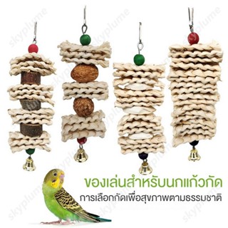 ชุดของเล่นนกแก้ว 5 แบบ สายกัดแทะข้าวโพด+ลูกจันทน์เทศ+ไม้แอปเ…