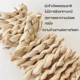 ชุดของเล่นนกแก้ว 5 แบบ สายกัดแทะข้าวโพด+ลูกจันทน์เทศ+ไม้แอปเปิ้ล+กระดองปลาหมึก ขนาด 20/25 ซม