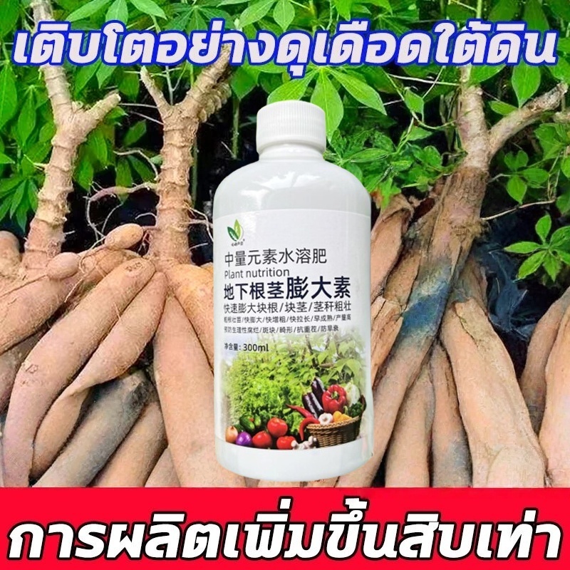 ฮอร์โมนระเบิดหัวเติมใหญ่ ปุ๋ยน้ําระเบิดหัว สําหรับต้นหัวทุยทุกชนิด ปลอดสารพิษ 100% สูตรพิเศษหนา หัวใหญ่ ผง