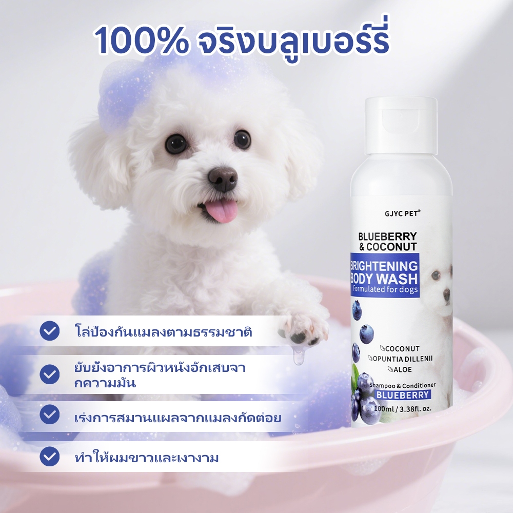 GJYC PET แชมพูขจัดขนเหลืองสุนัข 100มล. สูตรบลูเบอร์รี่เข้มข้น - ฟื้นฟูขาวสดใส 3 เท่า ปกป้อง UV - กลิ่นผลไม้ติดทนนาน ไม่มีสารฟอกขาว