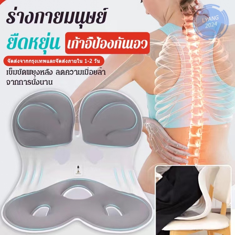 เบาะรองหลัง เก้าอี้รองปรับท่านั่ง ที่นั่งเก้าอี้แก้ไข เบาะรองนั่ง ที่รองนั่งเพื่อสุขภาพ มีให้เลือกหลากหลายสี
