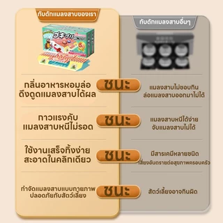 ส่งสินค้าในวันเดียวกัน ฆ่าแมลงสาบ ดักแมลงสาบ ยาแมลงสาบ บ้านสาบ ฆ่าสาป