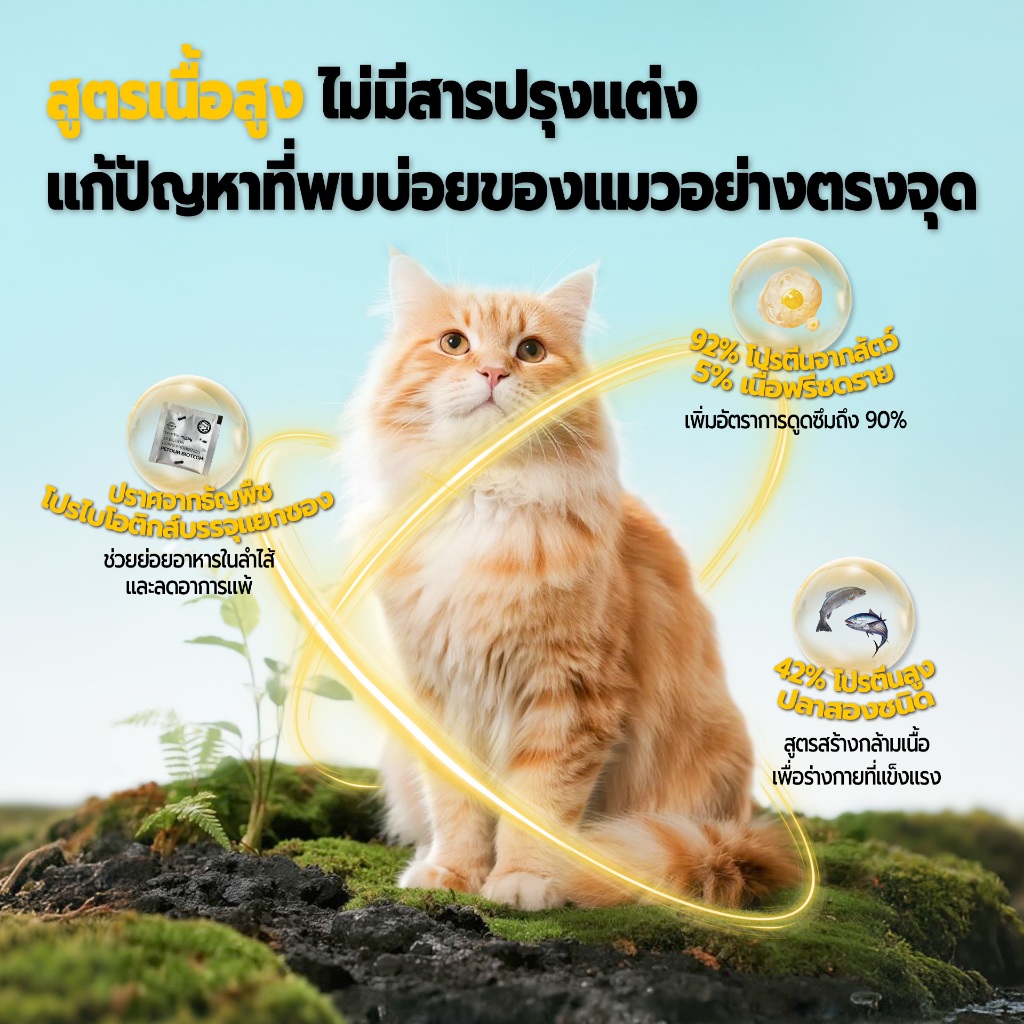Bite of Wild อาหารแมว P42 3 กก. Grain Free โปรตีน 42% อาหารเม็ดผสมฟรีซดราย 3 ชนิด  เหมาะสำหรับทุกช่วงวัย - รูปที่ 3