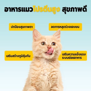 Bite of Wild อาหารแมว P42 5 กก. Grain Free โปรตีน 42% อาหารเม็ดผสมฟรีซดราย 3 ชนิด เหมาะสำหรับทุกช่วงวัย