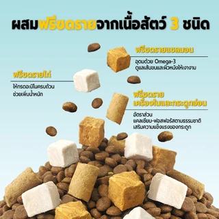Bite of Wild อาหารแมว P42 5 กก. Grain Free โปรตีน 42% อาหารเม็ดผสมฟรีซดราย 3 ชนิด เหมาะสำหรับทุกช่วงวัย