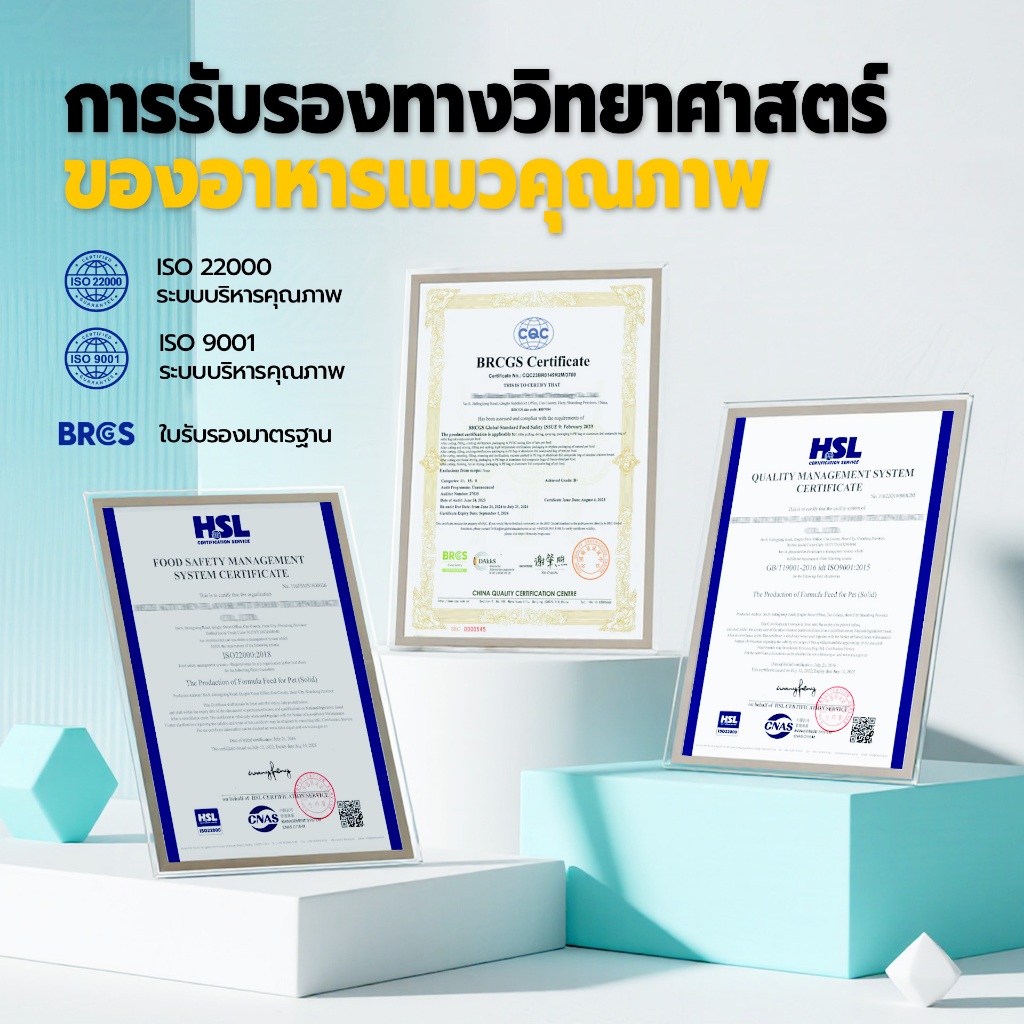 Bite of Wild อาหารแมว P42 3 กก. Grain Free โปรตีน 42% อาหารเม็ดผสมฟรีซดราย 3 ชนิด  เหมาะสำหรับทุกช่วงวัย - รูปที่ 6