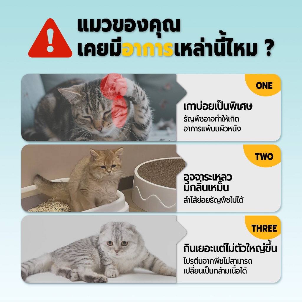 Bite of Wild อาหารแมว P42 3 กก. Grain Free โปรตีน 42% อาหารเม็ดผสมฟรีซดราย 3 ชนิด  เหมาะสำหรับทุกช่วงวัย - รูปที่ 2