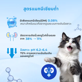 MR.Vet E2 UroGuard™ 5D Matrix อาหารแมว 10กก. – รองรับปัสสาวะ Tract & Kidney Health, Regulates pH, ป้องกันภาพหิน, โปรตีนสูง 30% จากทูน่าและไก่สด
