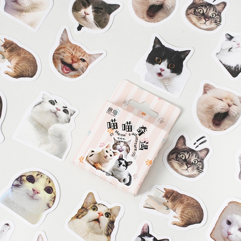 46ชิ้น/กล่องน่ารักการ์ตูนแมวสติกเกอร์ น่ารัก ลูกแมวสติกเกอร์โทรศัพท์ ทําเอง สมุดไดอารี่วารสารวางแผนตกแต่งเครื่องเขียนของขวัญปิดผนึกแท็ก