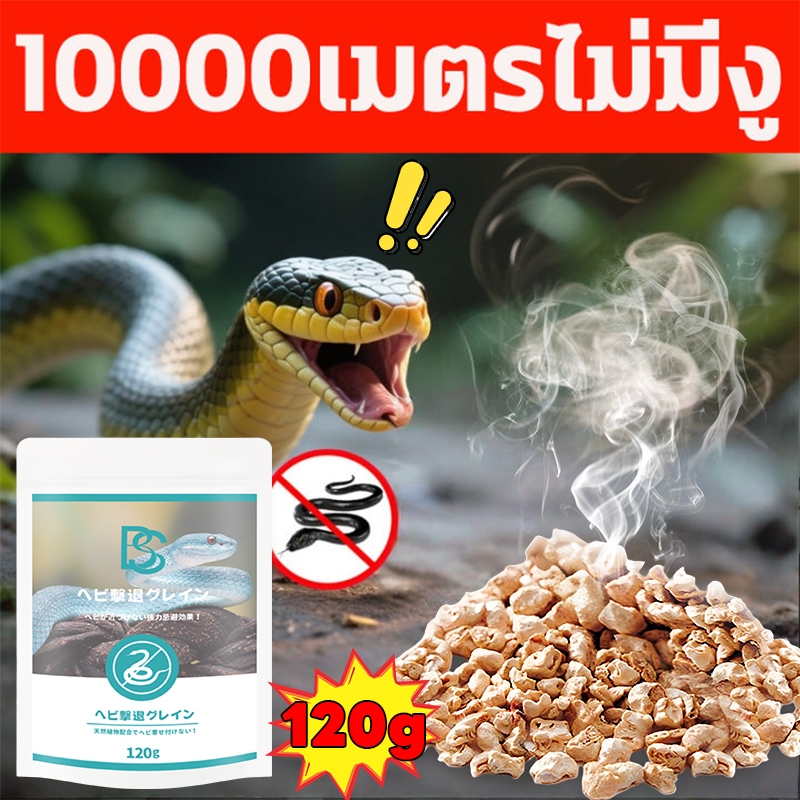 🐍🔥 ผงไล่งู 100% ธรรมชาติ ปลอดภัยแต่รุนแรง 🔥🐍NANA ยาไล่งู ไล่งู กํามะถัน ผงไล่งู ฝนตกก็ไม่กลัว งูทุกตัวหนีหาย ยาป้องกันงู ก้อนไล่งู ใช้ได้ทั้งในบ้านและนอกบ้าน
