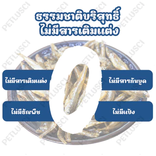 PETLUSCI ขนมแมว 50G ปลาแมวปลาอบแห้งแมวไม่เค็ม โปรตีนสูง ปลอดภัยต่อไต ไม่เติมเกลือขนมน้องแมวน้องหมา