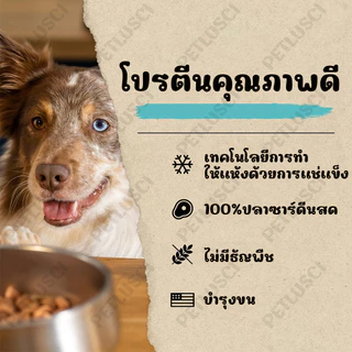 PETLUSCI ขนมแมว 50G ปลาแมวปลาอบแห้งแมวไม่เค็ม โปรตีนสูง ปลอดภัยต่อไต ไม่เติมเกลือขนมน้องแมวน้องหมา