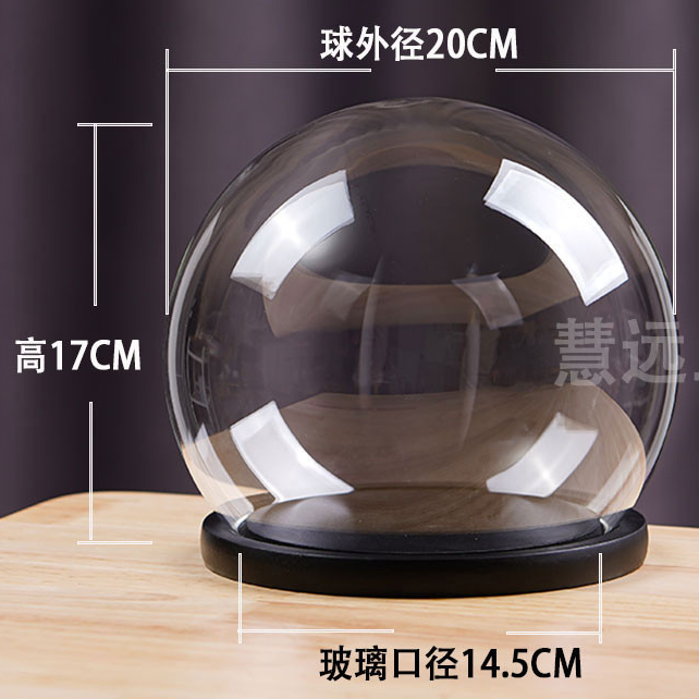 ขวดแก้วที่มีฐานสีดำ,ภาชนะ  สำหรับกล่องดอกไม้แห้งด้วยมือ,โดมแก้วสำหรับตกแต่งบ้าน - รูปที่ 6