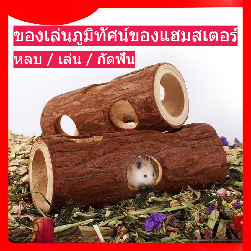 ของเล่นลานรูปต้นไม้สำหรับหนูแฮมสเตอร์ วัสดุไม้ Fir สำหรับหนูแฮมสเตอร์สีทอง ซ่อนของเล่นสัตว์เลี้ยง อุโมงค์ภูมิทัศน์ บดฟั ของเล่นธรรมชาติ ไม้เบิร์ชบริสุทธิ์