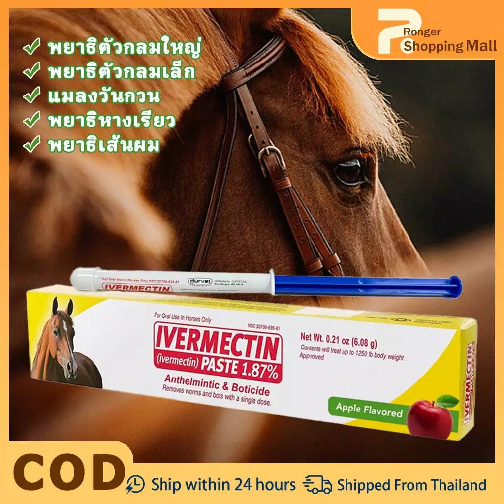 Horse-Specification Apple Flavour Horse Paste สูตรอ่อนไล่แมลง Balance Adjustment Non-IrrtingCare Horse Ointment