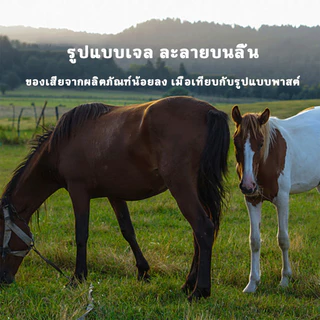 Horse-Specification Apple Flavour Horse Paste สูตรอ่อนไล่แมลง Balance Adjustment Non-IrrtingCare Horse Ointment