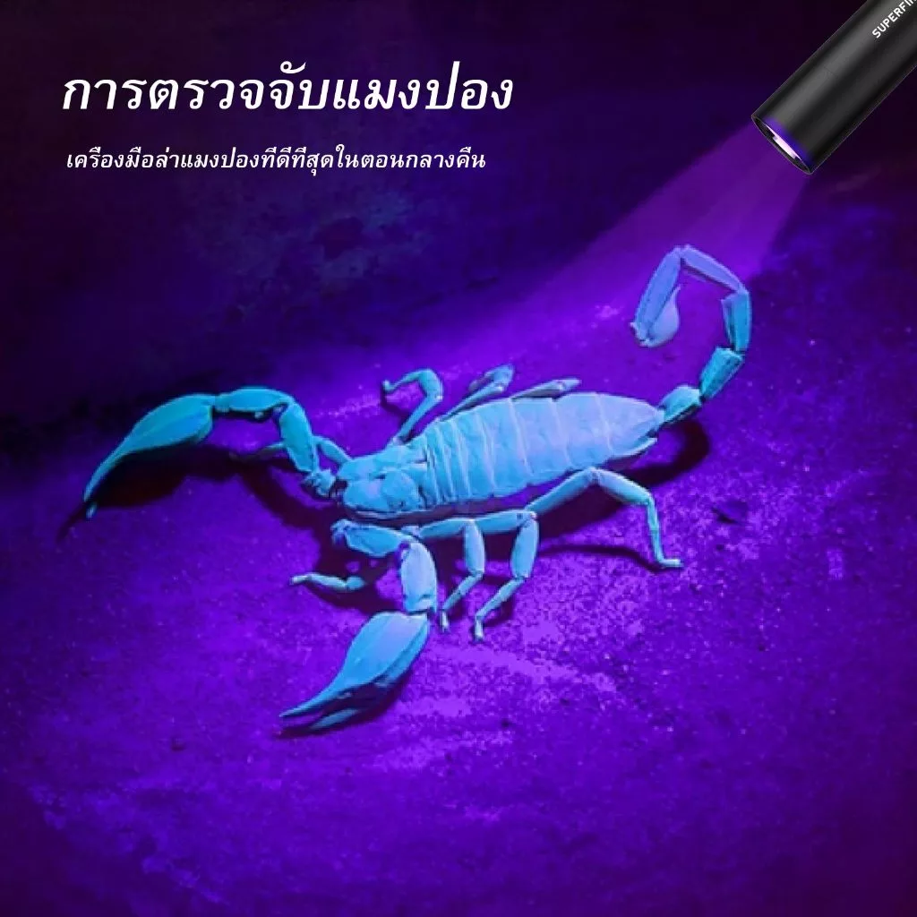 SUPERFIRE S11-H ไฟฉาย LED UV 365nm แบบชาร์จไฟได้ thumbnail 9