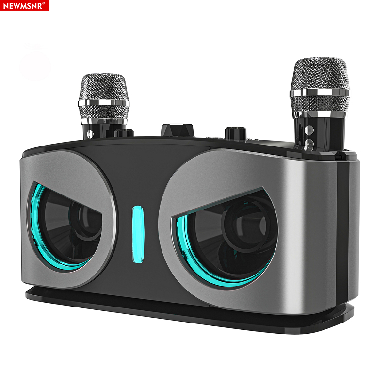 NEWMSNR ลําโพงคาราโอเกะ 20W พร้อมไมโครโฟนไร้สาย 2 ตัว ลําโพงบลูทูธเสียงรอบทิศทาง 9D พร้อมโหมด Echo/FM
