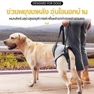 Old Dogs Outing สายรัดเชือกลากเสริม | สําหรับสุนัขการกู้คืนและคนพิการโดยเฉพาะ