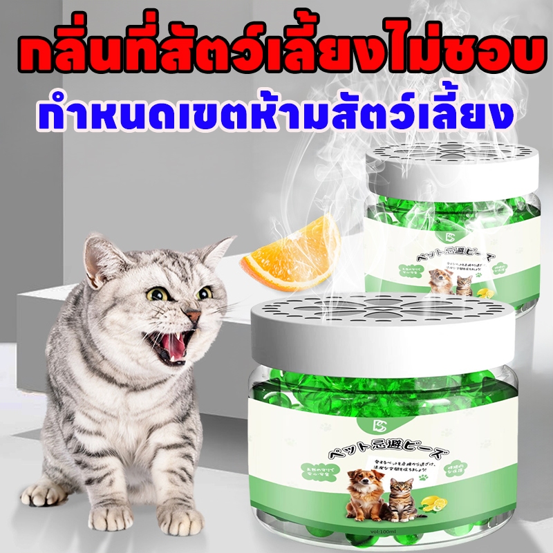 🔥 ซื้อ 1 แถม 1 🔥 เติมน้ำแล้วใช้ได้ไม่จำกัด BS ไล่แมว กลิ่นไล่แมว สเปรไล่แมว ไล่แมวขี้ วางตรงไหน สัตว์เลี้ยงก็ไม่ไปตรงนั้น ยาไล่แมว ที่ไล่แมว