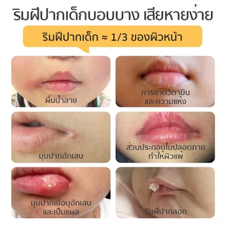 Dexter Baby ลิปมันเด็ก ออแกนิก Lip Balm เด็ก บางเบาและชุ่มชื้น ลิปบาล์มเด็ก 3.6g
