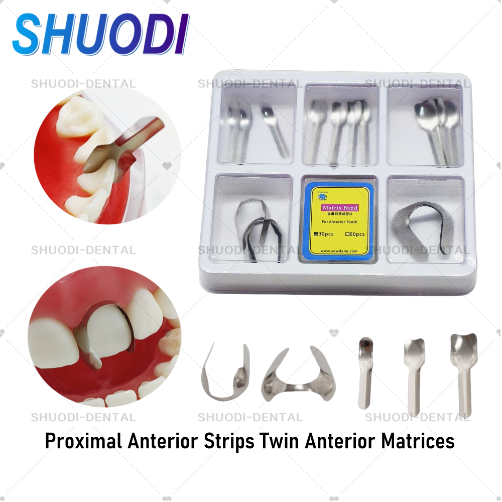 Dental Large Small Proximal Anterior Strips Twin Anterior Matrices Matrix Systems วัสดุฟื้นฟูทันตกรรม