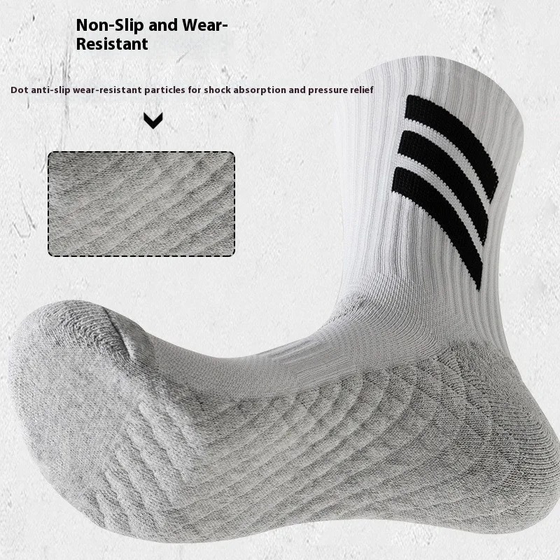 รูปภาพ 5