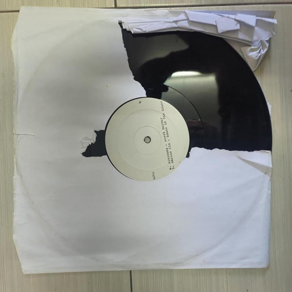 Minimono / Markus Fix – Sweet Murmur / House In The House Tech House, ไวนิล Minimal Techno lp