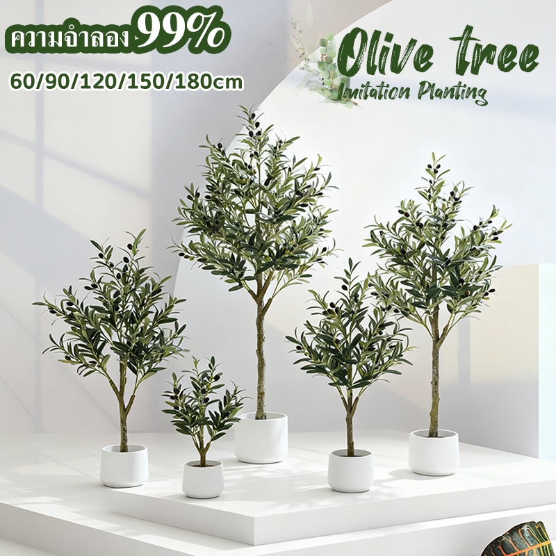 ☘️ความจำลอง 99.9%☘️ ต้นโอลีฟ ของแต่งบ้าน Olive tree ต้นไม้ปลอม แต่งห้อง ลำต้นสีน้ำตาล ใบแน่นฟู สินค้าตรงปก มีคุณภาพ