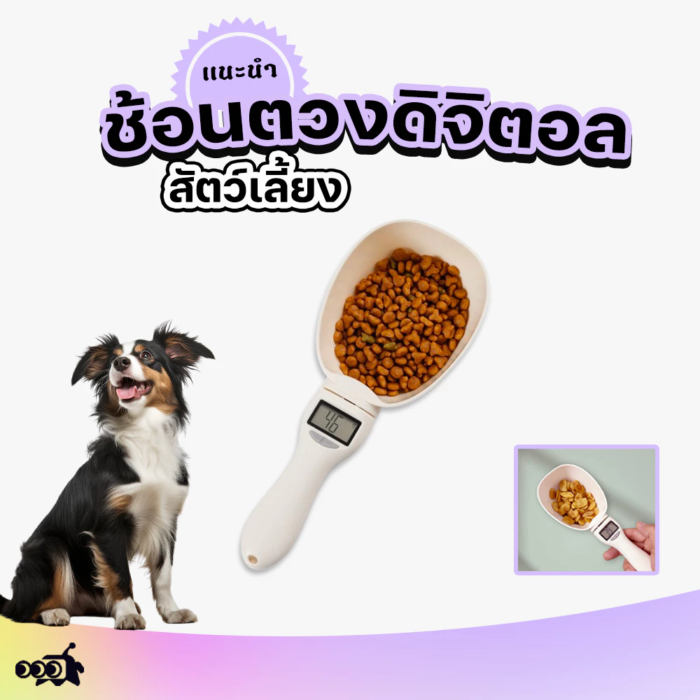🔔ช้อนตวงดิจิตอล ตวงอาหาร ชั่งได้1g/800g ชั่งอาหารหมา/แมว เครื่องชั่งส่วนผสม ปรับได้4หน่วย แม่นยำ1g⚖️