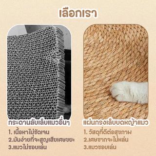แผ่นลับเล็บแมว 3In1🌿มีหญ้าแมว ถักทอจากหวาย 4 ขนาด พรมแมว ของเล่น ที่นอน กันข่วน วงกลมพรมลับเล็บแมว