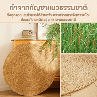 แผ่นลับเล็บแมว 3In1🌿มีหญ้าแมว ถักทอจากหวาย 4 ขนาด พรมแมว ของเล่น ที่นอน กันข่วน วงกลมพรมลับเล็บแมว