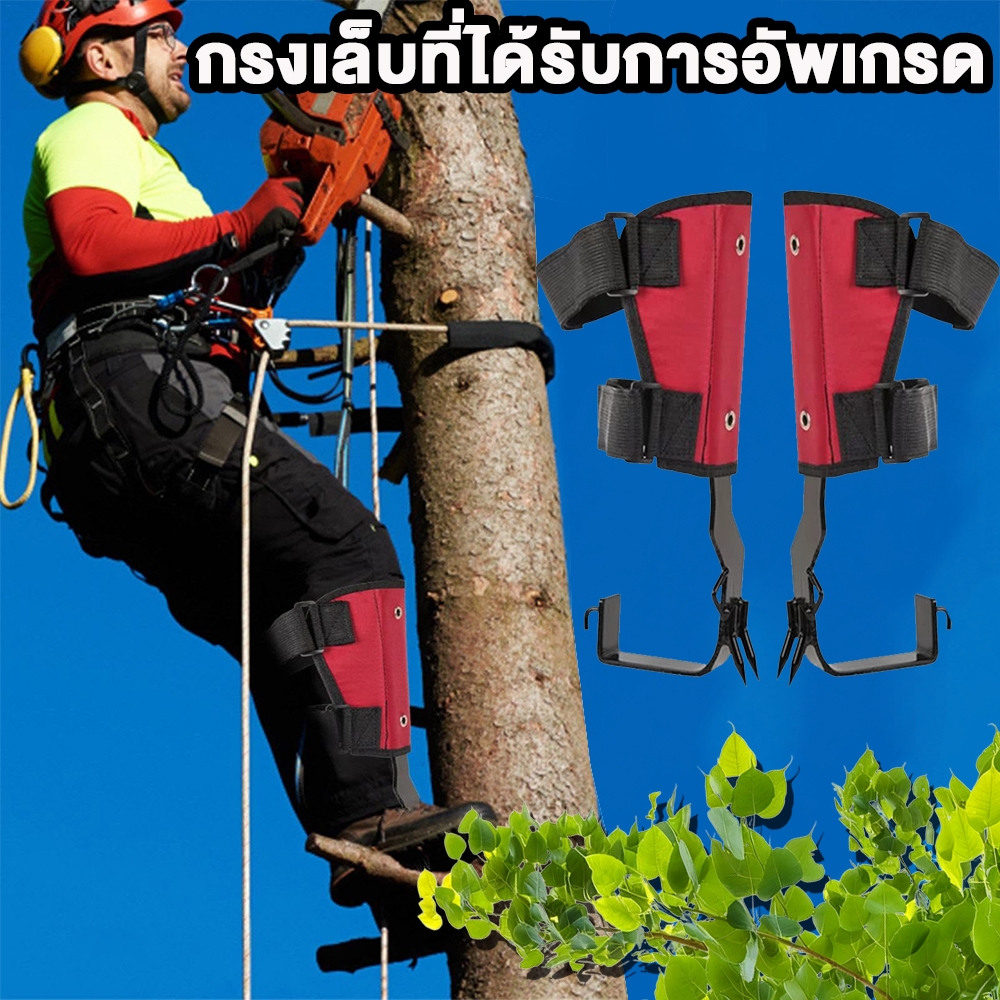 อุปกรณ์ปีนต้นไม้ สแตนเลส พร้อมสายรัดนิรภัย