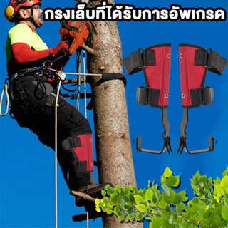 อุปกรณ์ปีนต้นไม้ สแตนเลส พร้อมสายรัดนิรภัย