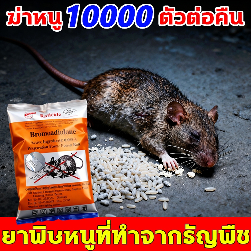 ยาเบื่อ หนู แรงๆ ตายแห้ง (หนูชอบมาก) ยากำจัดหนู 1 คืน ไวสุด สะตอมของแท้สูตรใหม่ ผลิตใหม่ ไม่ต้องผสมอาหาร (สูตรผสมธัญพืชที่หนูชอบอัดแน่น)