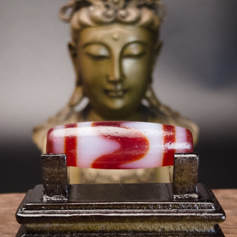 [Zangyuange] Tiger Red Meat Tiger Tooth zyg581