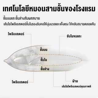 BlueWhite หมอน หลับสบาย แก้ปวดคอ หมอนรองนอนกันไรฝุ่นหนา