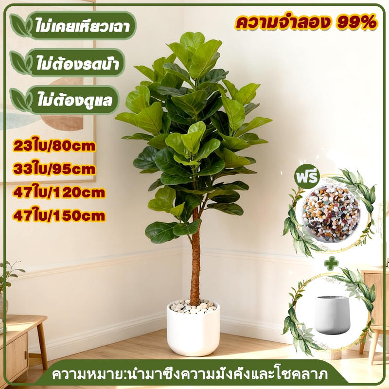 ม่วนกา ต้นไม้ปลอม (ฟรีหินบดกระถางดอกไม้) ฟิคัส 80-150ซม 23/33/47ใบ จําลอง99% ต้นไม้มงคลสําหรับตกแต่งบ้านและสวน