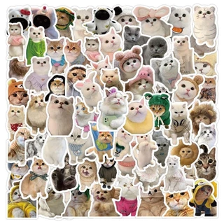 100/200 สติ๊กเกอร์การ์ตูน สติ๊กเกอร์ตกแต่ง ทําเอง แฮนด์เมด สําหรับตกแต่งแล็ปท็อป เคสโทรศัพท์ กระเป๋าเดินทาง